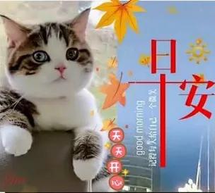 千裏惦念不覺遠，
人生思念不孤單，
問候好友心中暖，
保重身體都平安。
早上好！