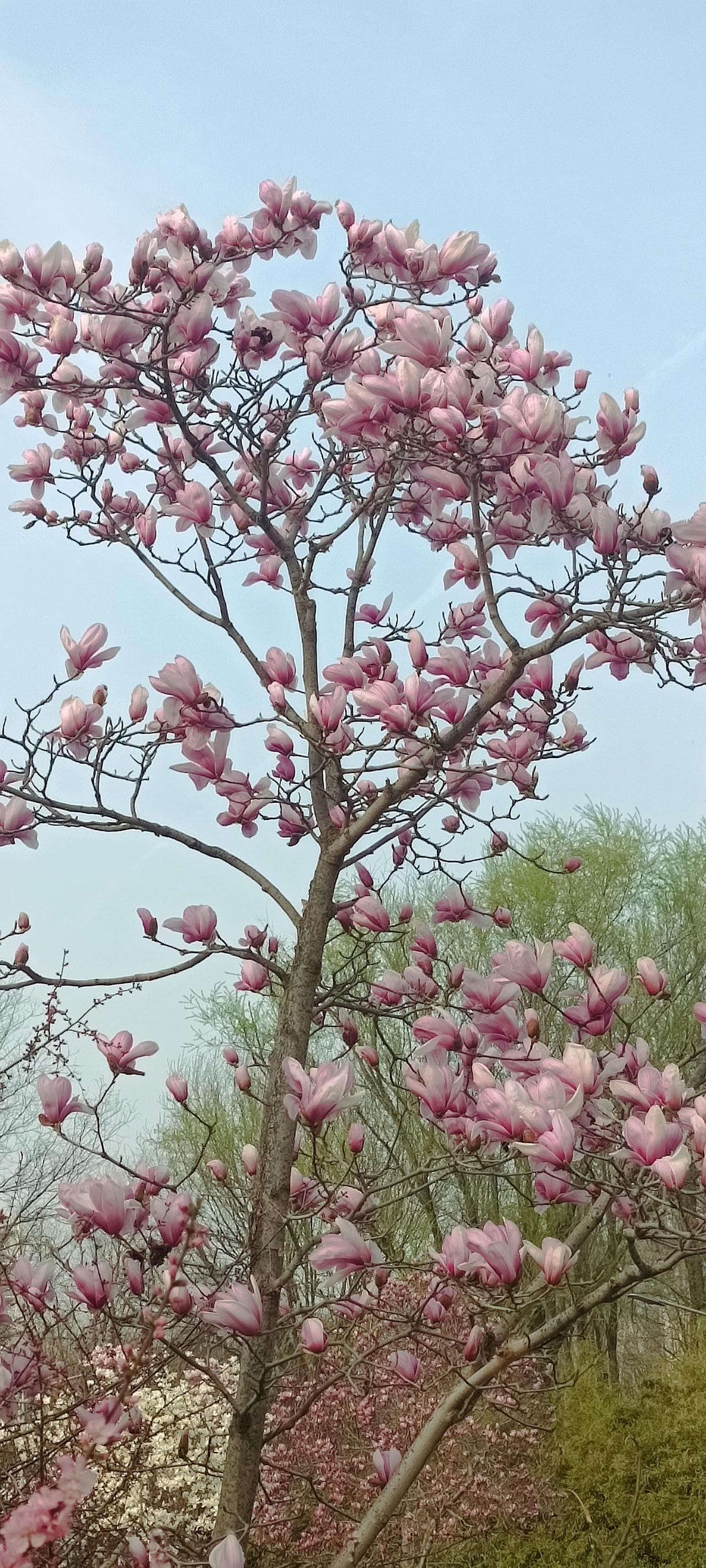 “维持亲戚关系不是靠血缘和感情，而是靠利益和场合。”        
     