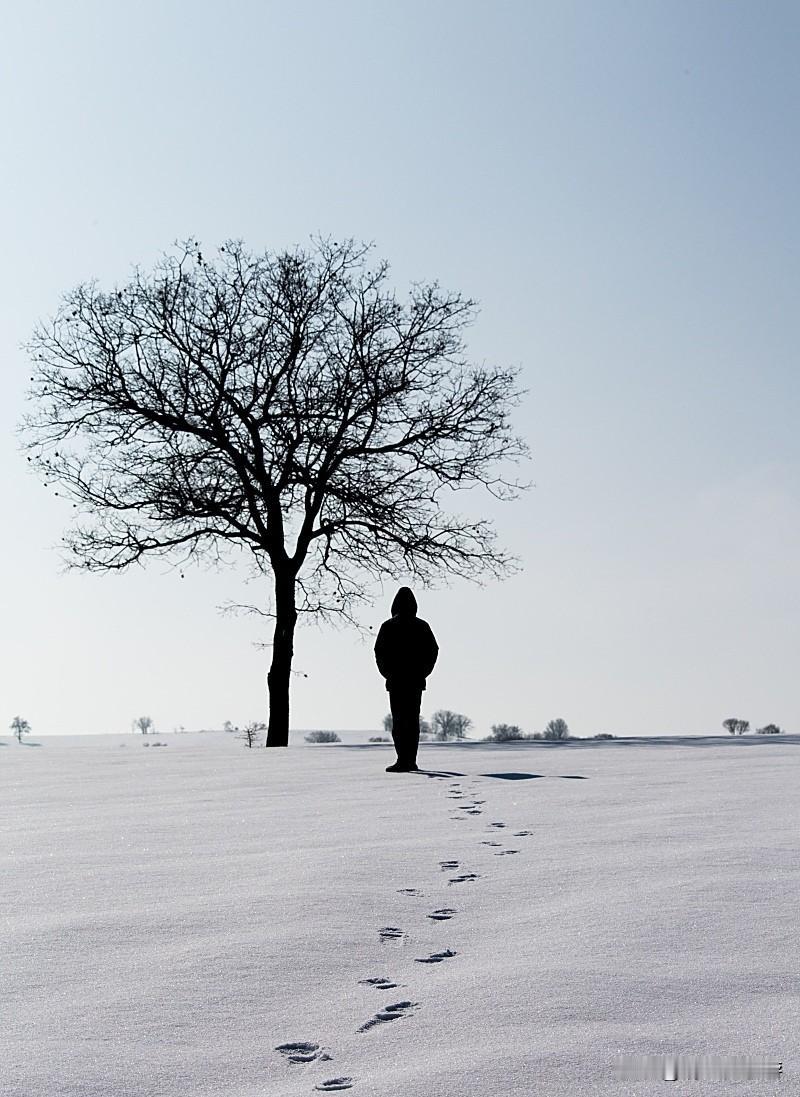 年味渐浓，还有48小时就是除夕夜了。心里却多了几分说不清的滋味，大家有同感吗？
