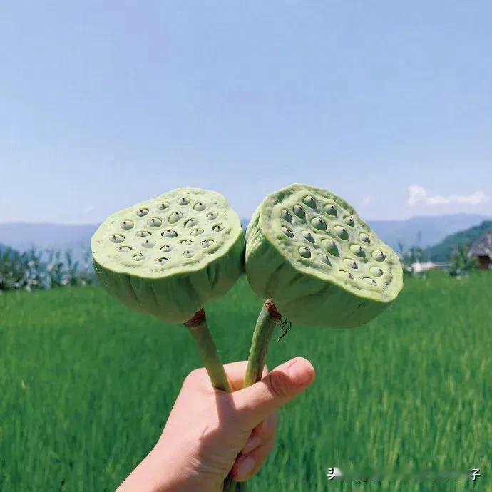 如果夏天是一个人
你想对说什么
如果夏天是母亲
您想对她怎么说

如果夏天是父亲