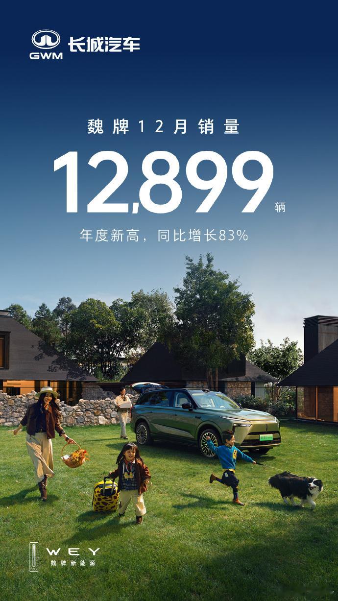 坡总开门红呀，12月魏牌销量12899辆，2026年感觉可以魏牌可以奔着全年20