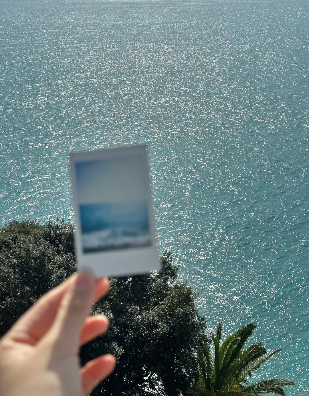 抽奖｜送你一张尼斯的海🌊