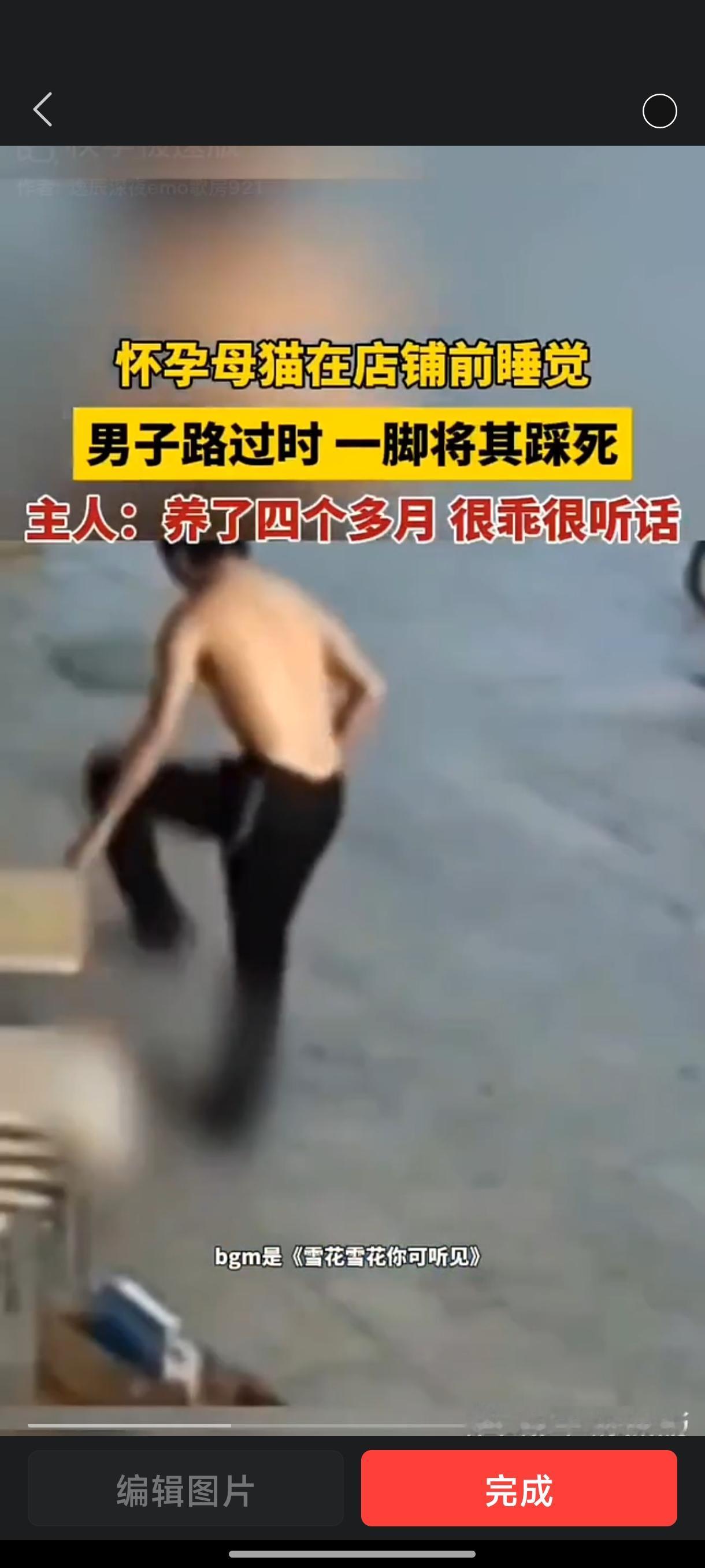 有的人天生就是“坏种”!
   近日，一家店主曝光了这样一段监控视频。他自己养了