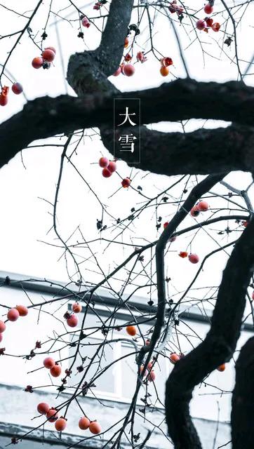 七绝 大寒乍暖
东君不日遣春还，
岁暮寒极天未寒。
花放亦无梅抱雪，
大寒犹如似