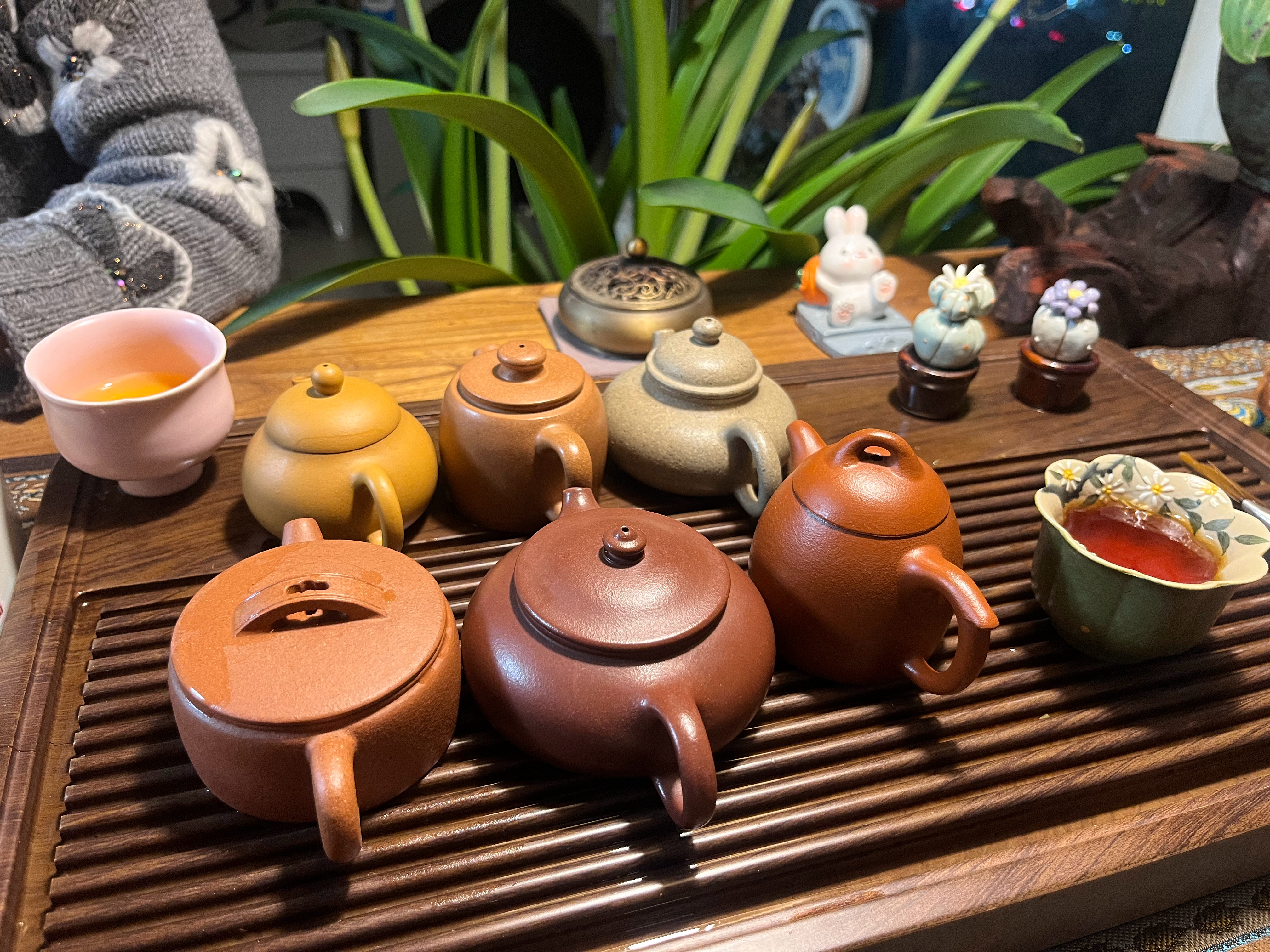 买一堆茶叶，支持试喝，今晚喝了一个水饱