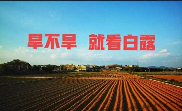农谚“旱不旱，就看白露”，今日白露，今年有大旱吗？看农谚咋说