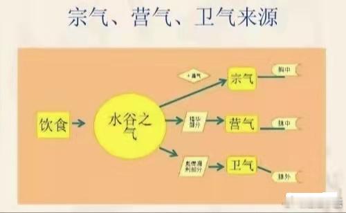 论，卫气营血；气取诸阳，血取诸阴。人生之初，具此阴阳，则亦具此气血。气血者，其人