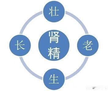 男人衰老，可能是从肾精不足开始的

因为男人以肾为先天，以精为本，而中医认为，肾