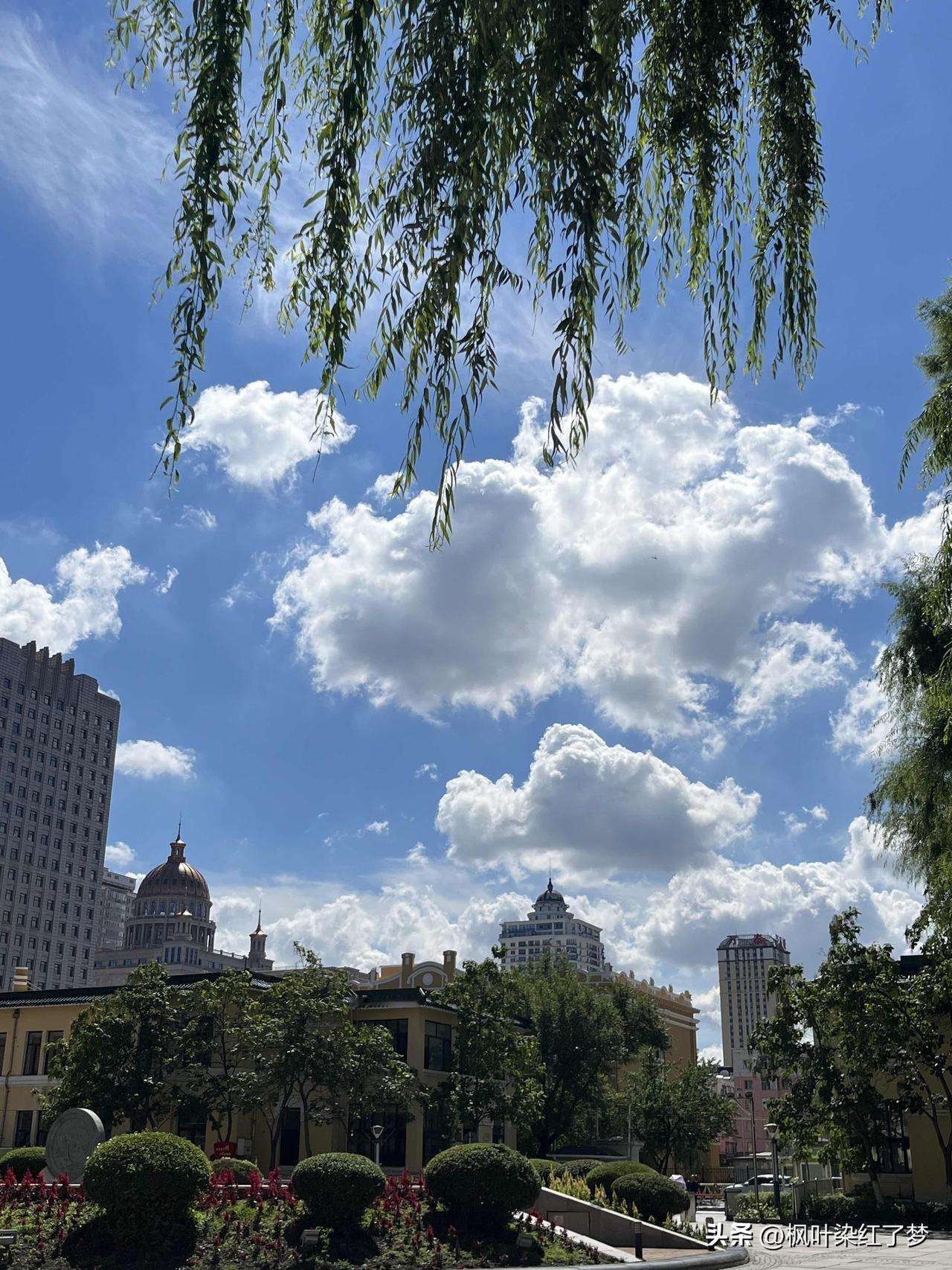 大朵的棉花云，自由的在天空中绽放。