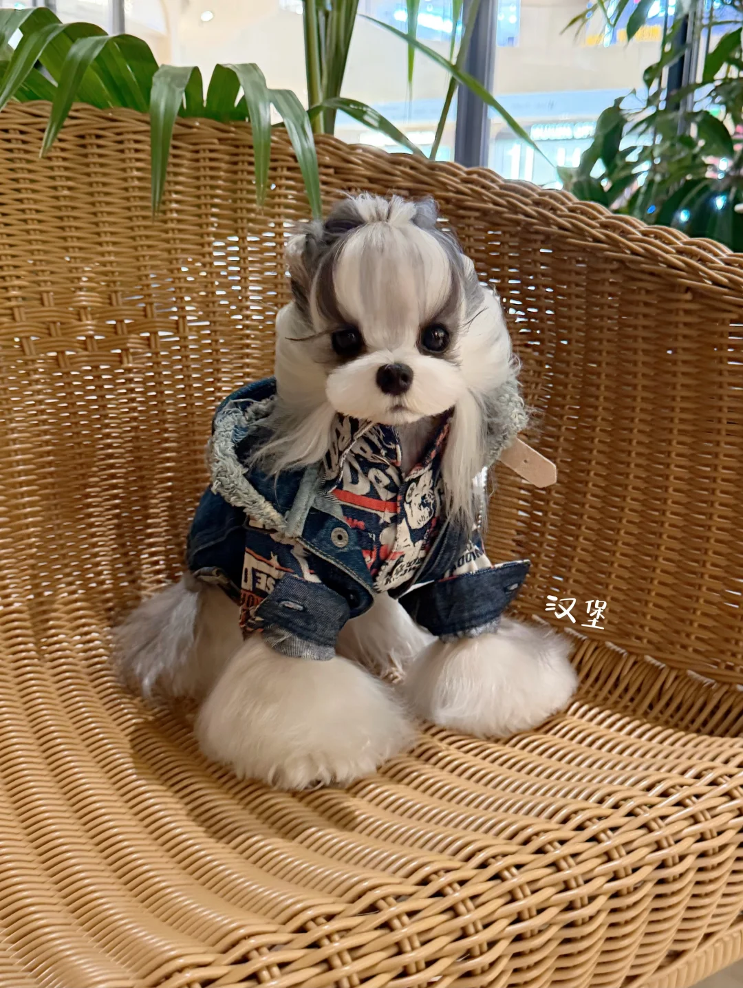今天是酷酷的boy～