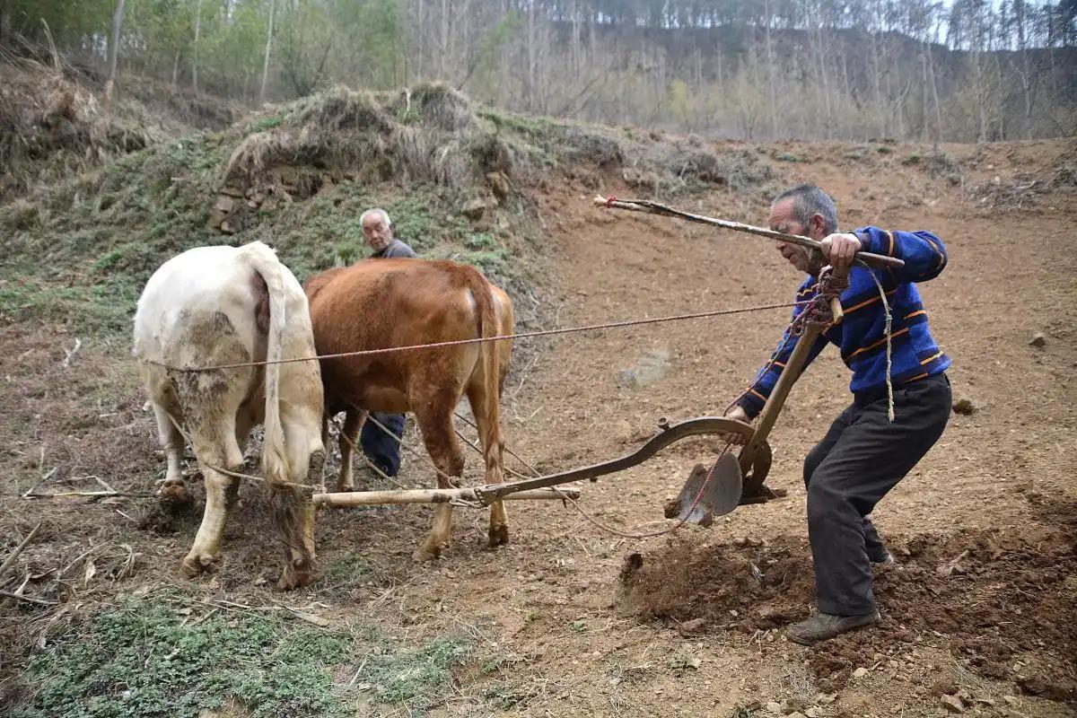 2026年春天比以往都来得慢半拍，马上就到清明了，正是踏春的好时节。
可在这个周