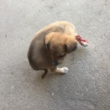 梅香爱说娱乐