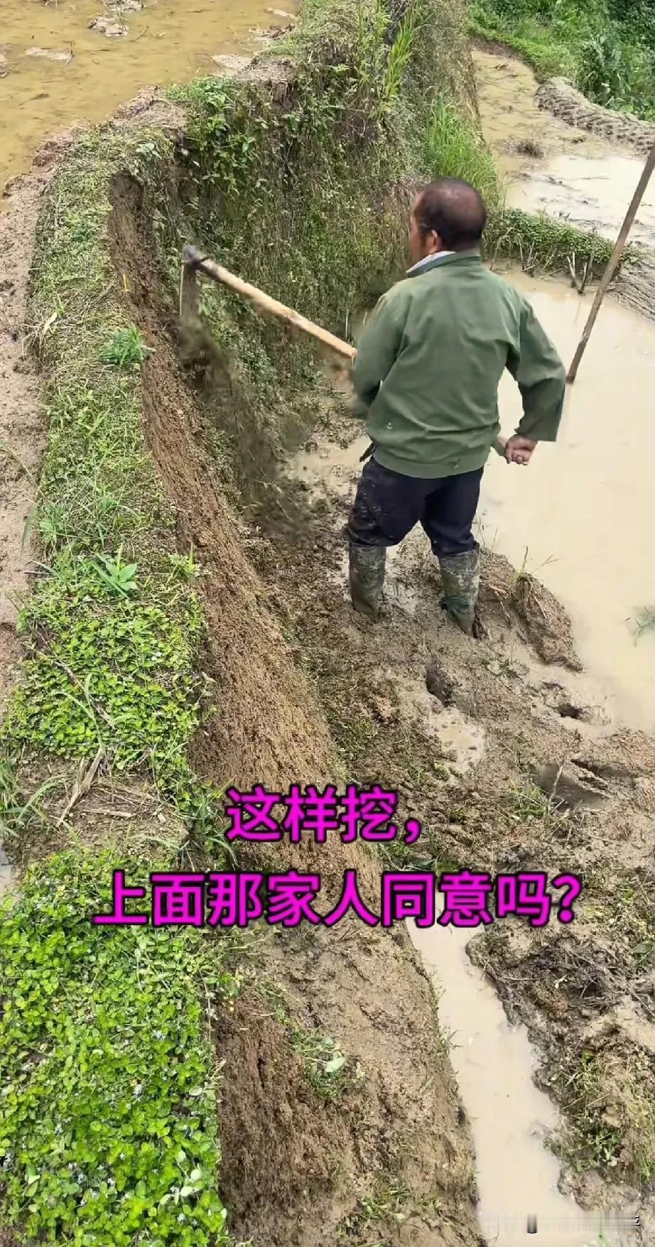 为什么每个村子都有一两个这样的人非要占这点小便宜，把人家的田埂给占了？

 因为