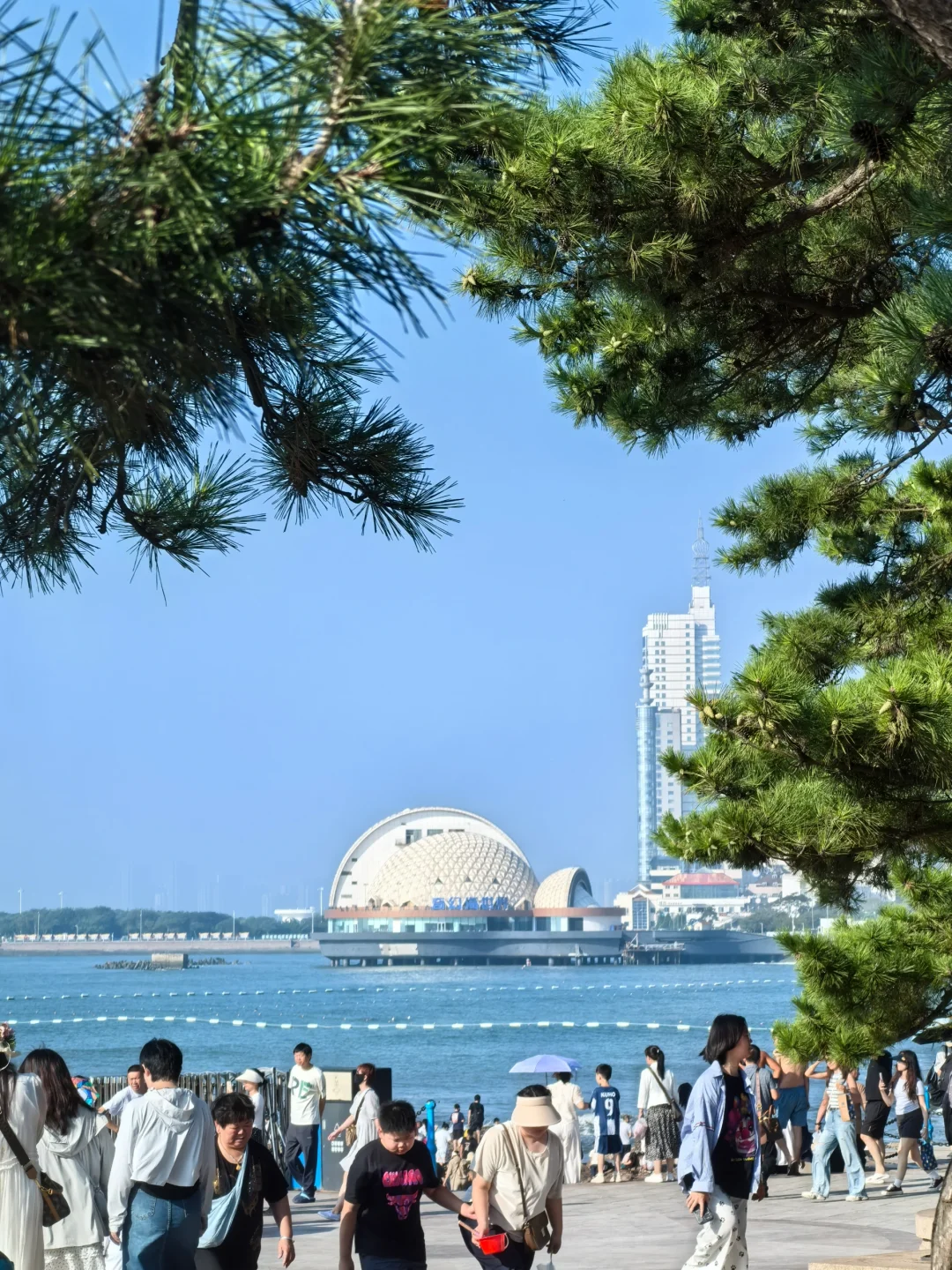 8.29青岛街头实况 早晚评五星 中午依旧热