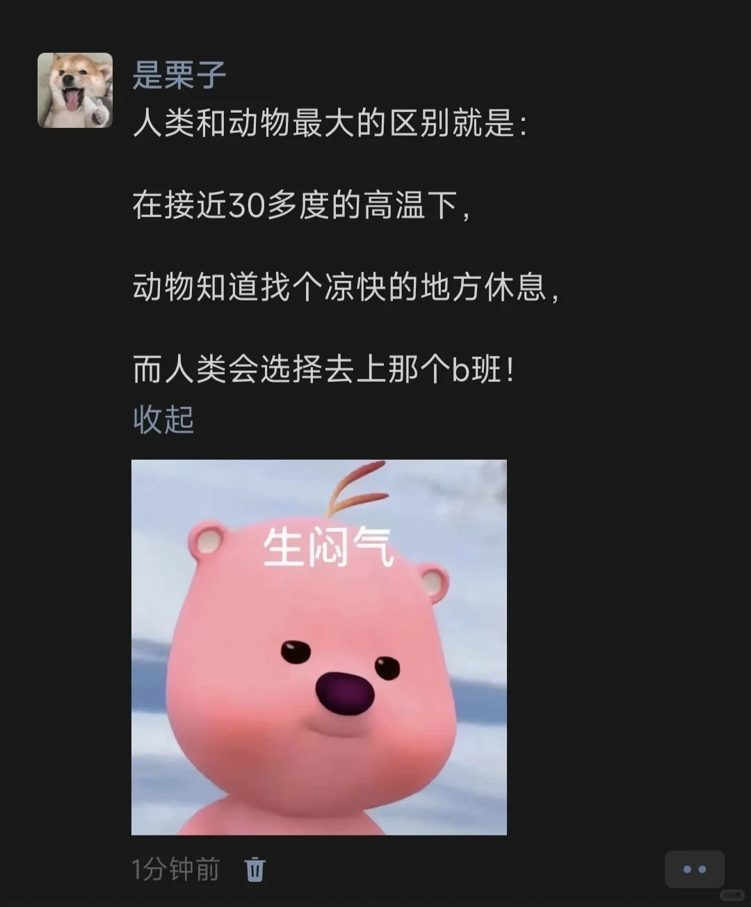 人类和动物最大的区别就是