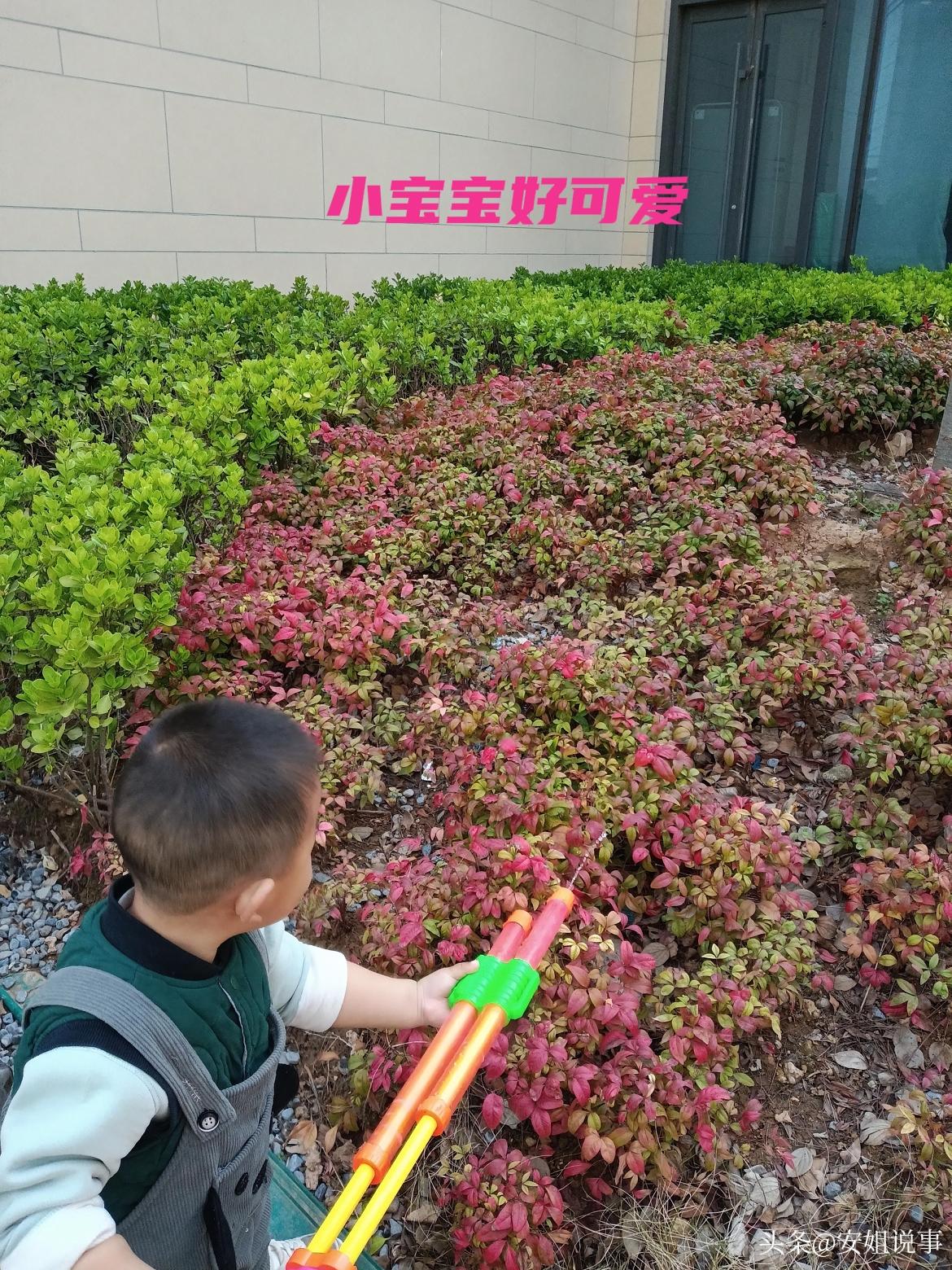 晒图笔记大赛现在的宝宝也太人小鬼大了吧！拿着小水枪，一本正经地给家里绿植“浇水”