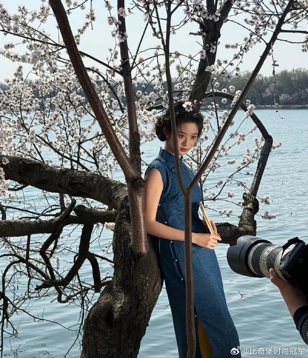 真的不行了，明明五福里黄杨钿甜好灵好灵的 