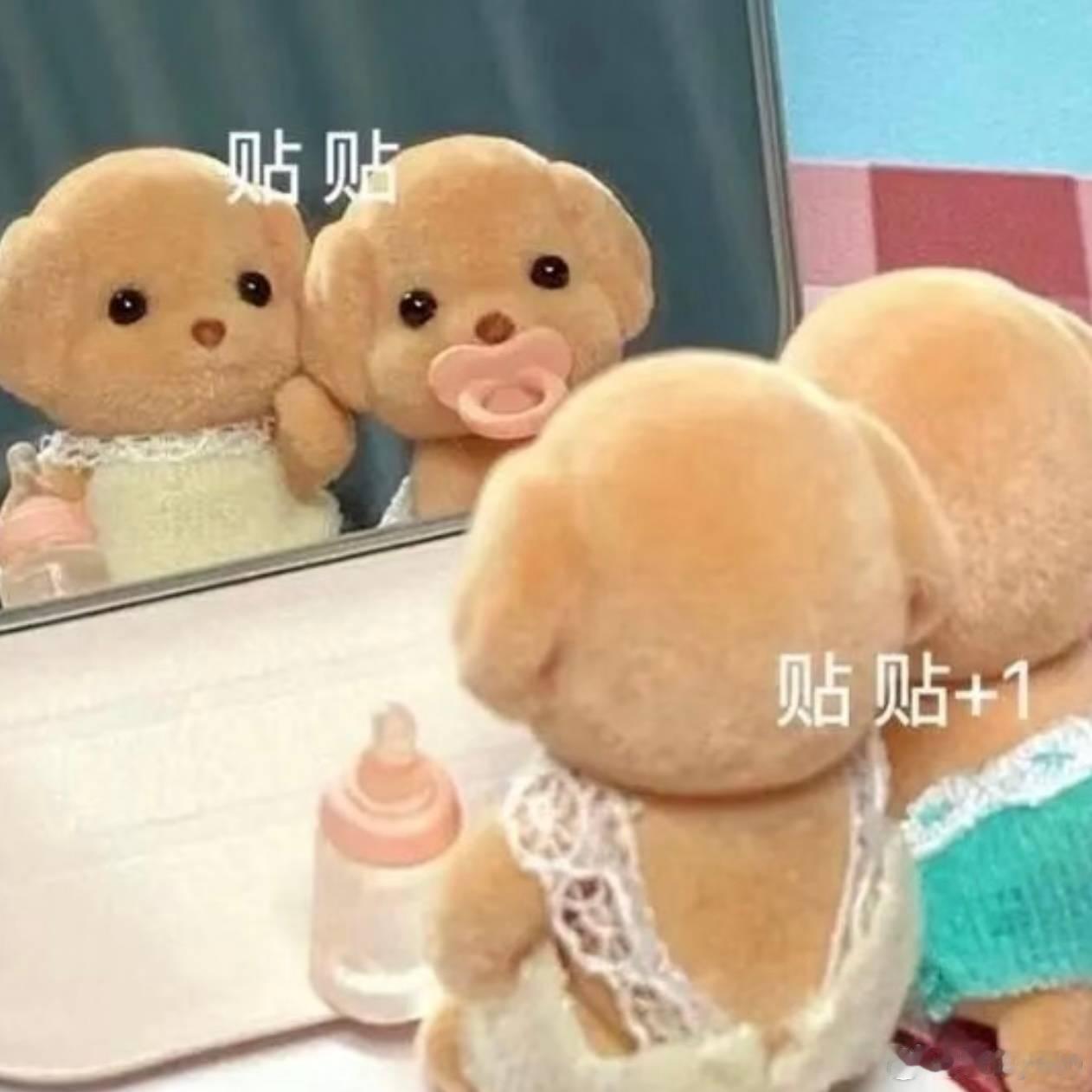 谁忍心欺负这只萌狗！ 
