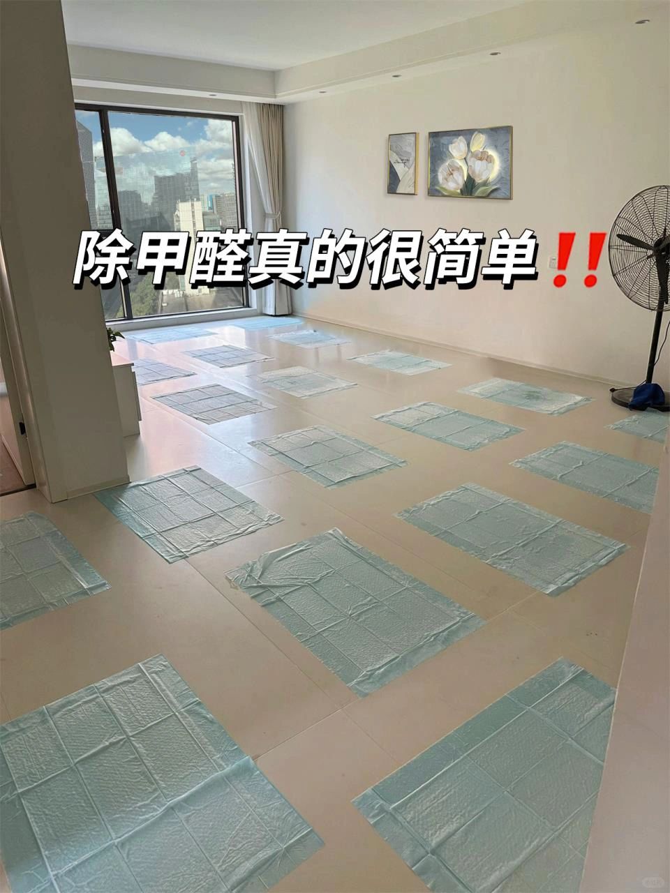 搬家了才敢说，除甲醛这事真的很简单