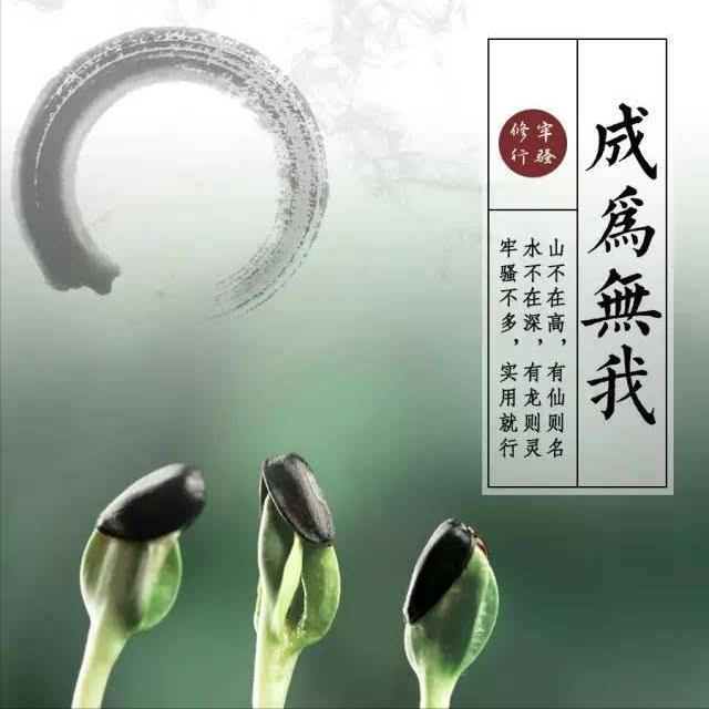 最近常听到一组四个词：小我，自我，超我与无我，啥意思？
问了很多人，回答的很干脆