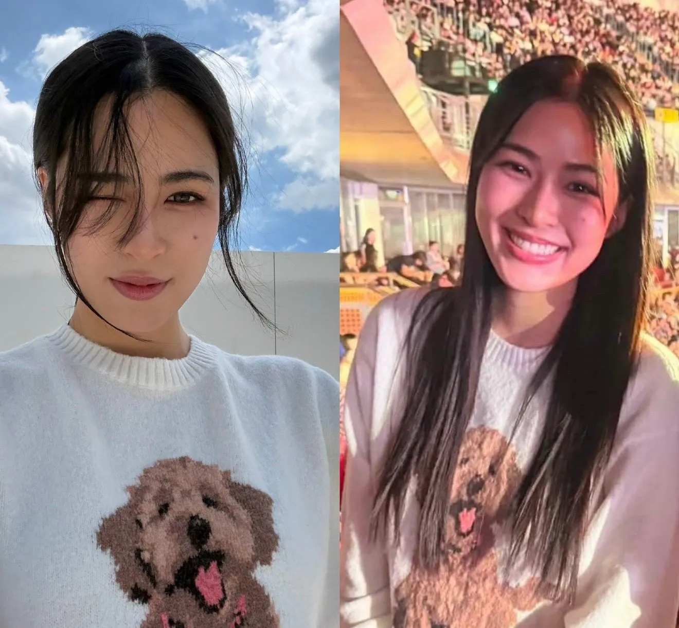 看演唱会那天拍的吗 