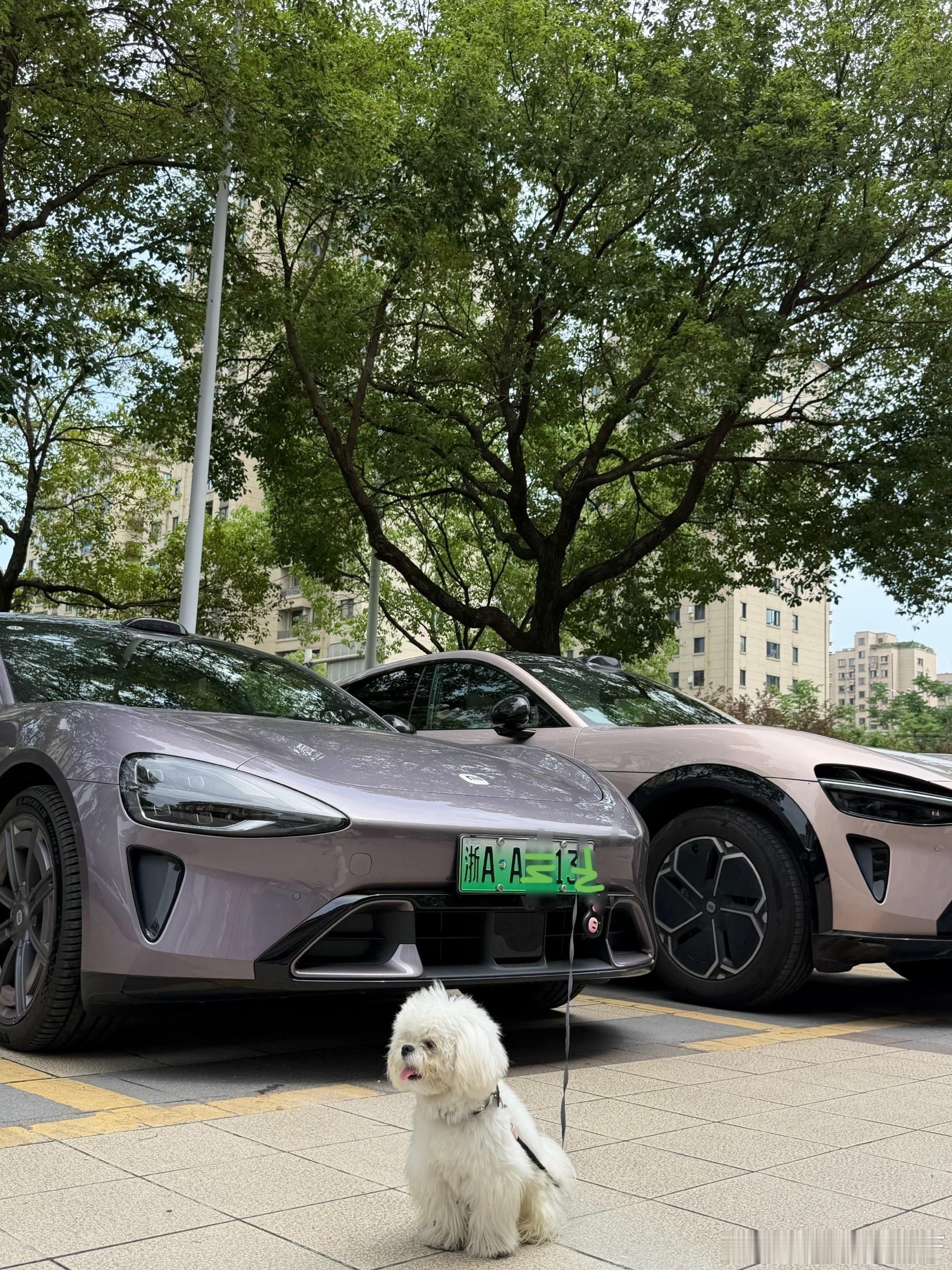 一家人颜值打满 整整齐齐的 