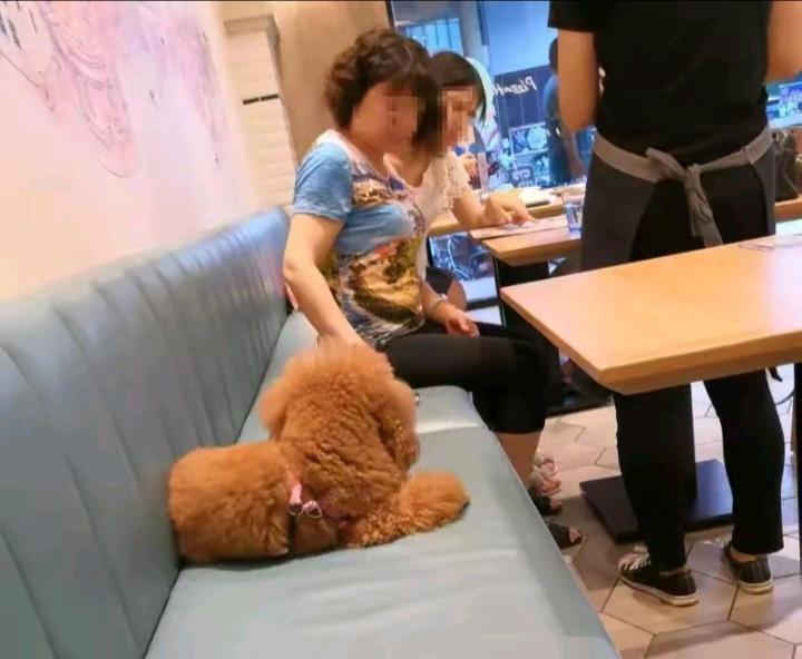 为什么很多餐厅拒绝宠物狗入内?
许多餐馆、餐厅拒绝宠物狗入内，这是正确的做法。狗