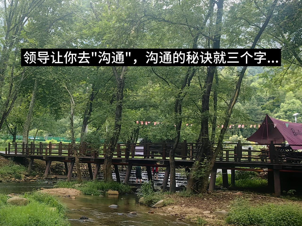 领导让你去"沟通"，沟通的秘诀就三个字...

我刚进单位那会儿，最怕领导跟我说