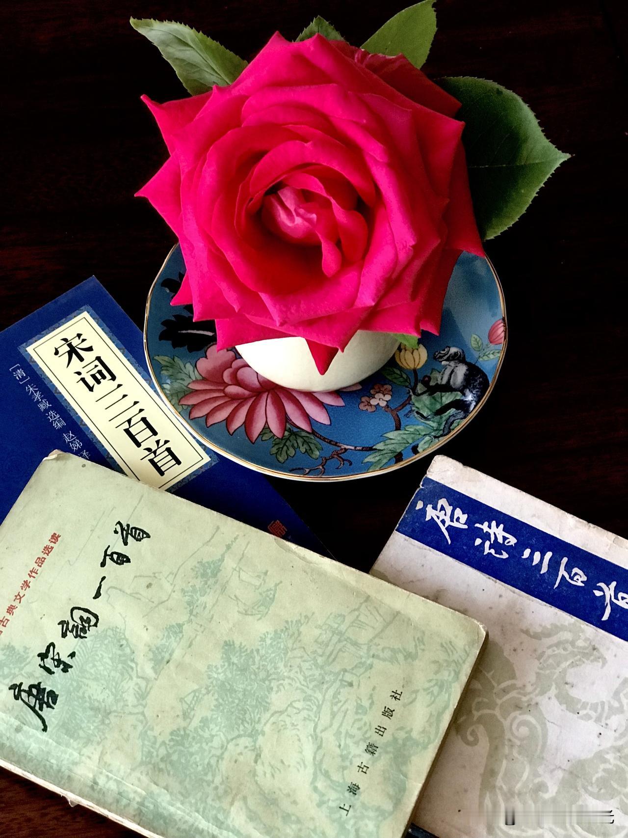 唐诗就用以前的一个版本：《唐诗三百首》。

宋词也是用以前的版本，一个是《唐宋词