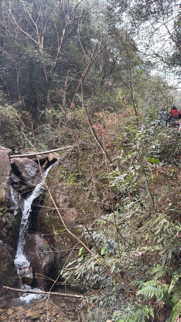 这山里连网络都没 