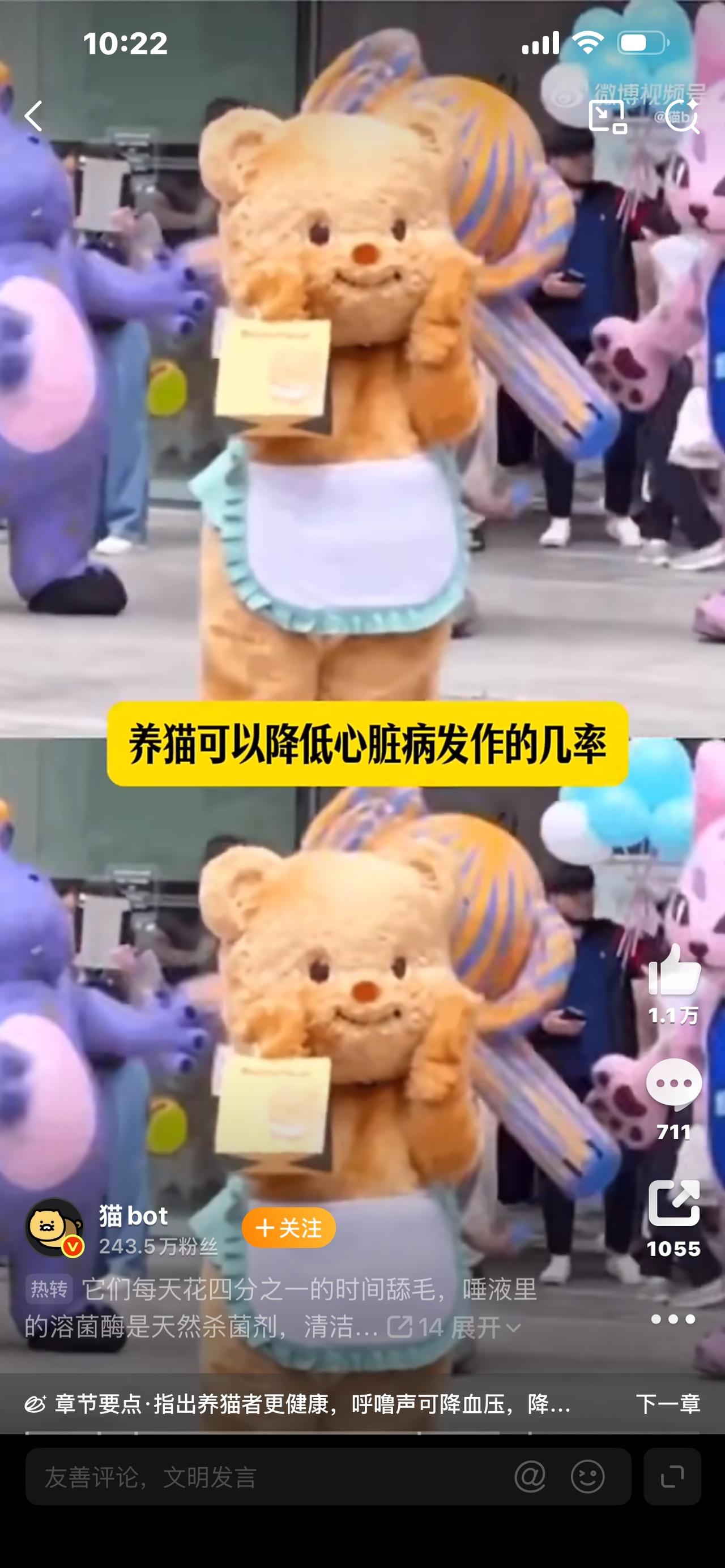 专家直言小猫上床并不脏！铲屎官争论不休，看完终于不用纠结啦

专家说小猫上床是不