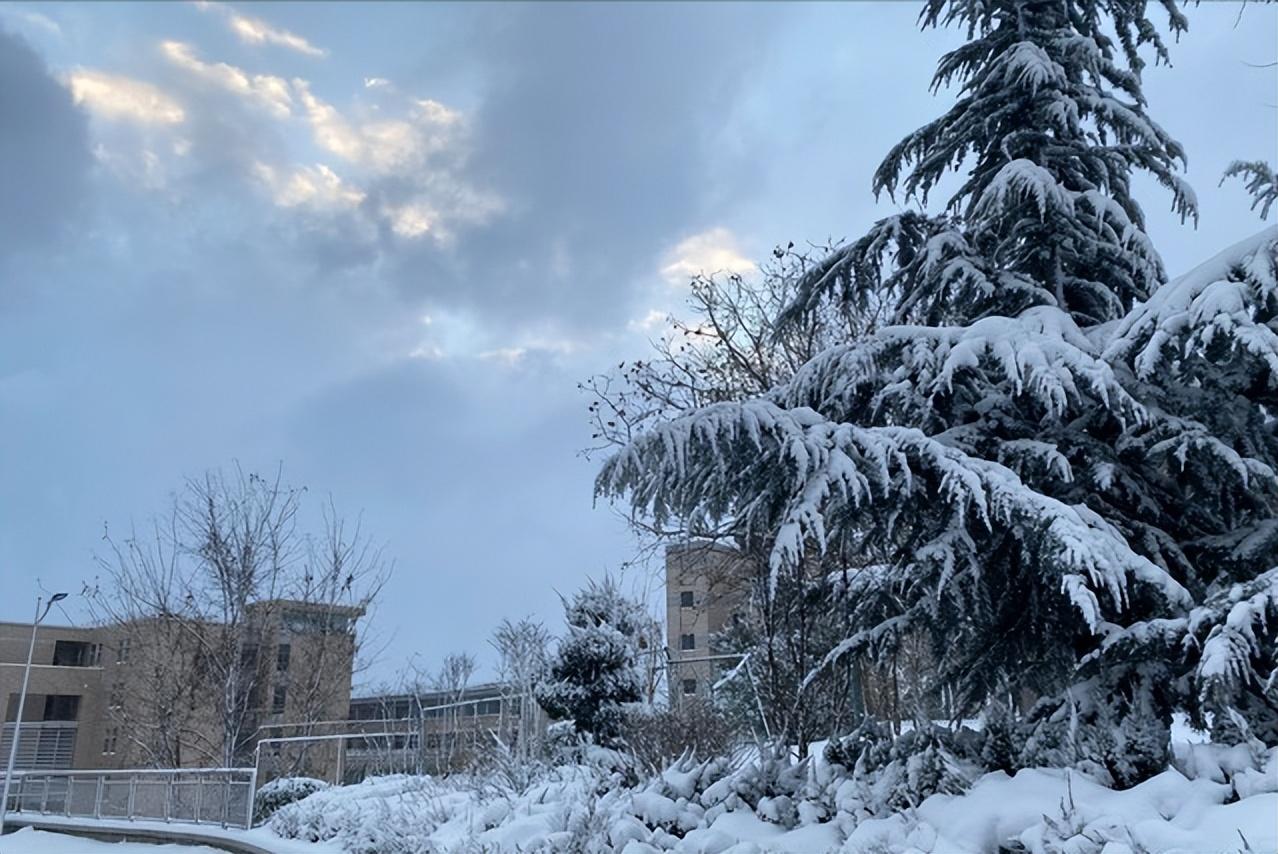 “冷不冷，看大雪”，12月7日大雪，今年春节冷吗？有啥预兆？
大雪节气是反映气候