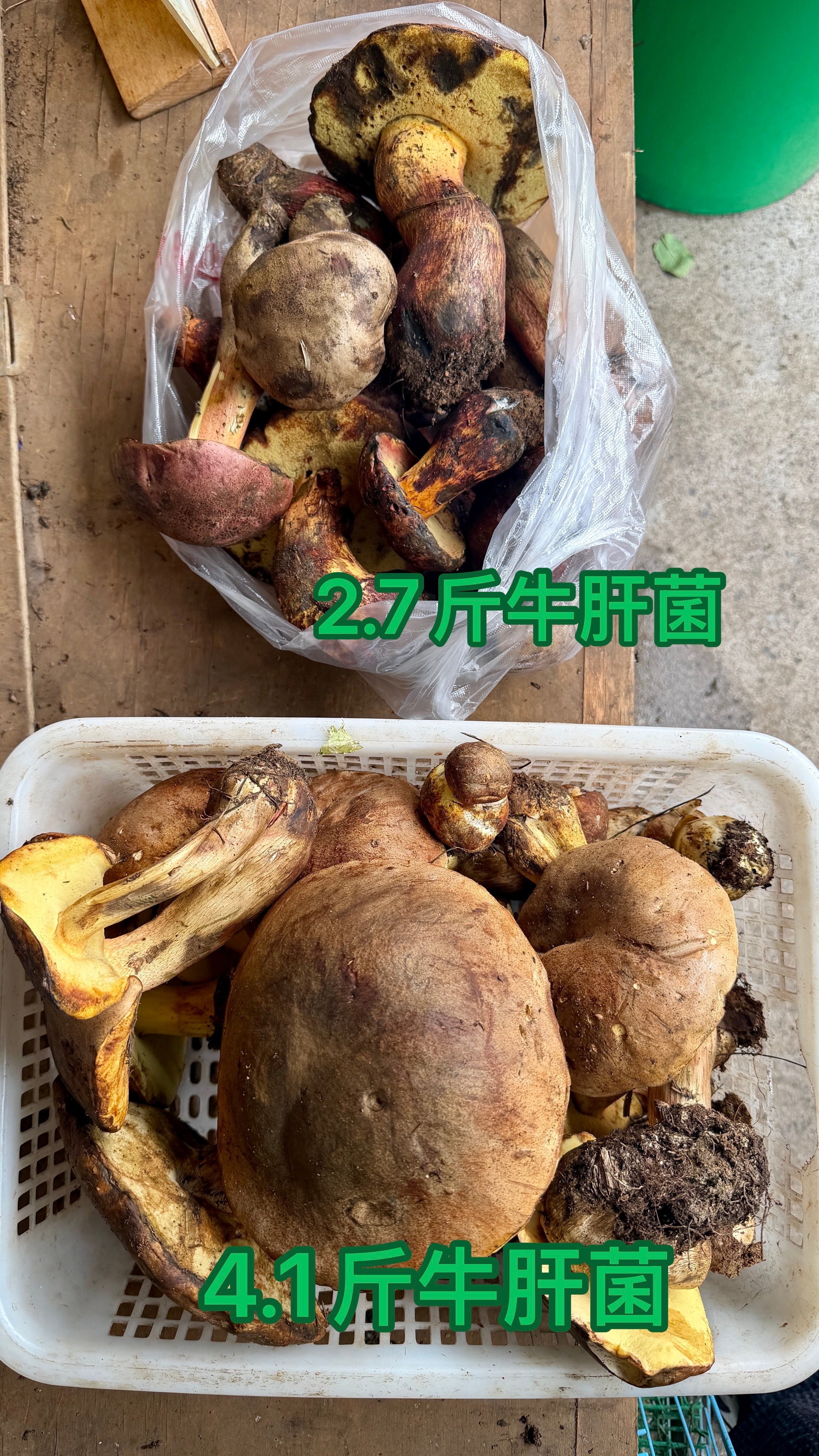 四川朋友来丽江，中午他们说想吃炒的野生菌，我怕他们去饭馆吃不到正宗的，于是买了一