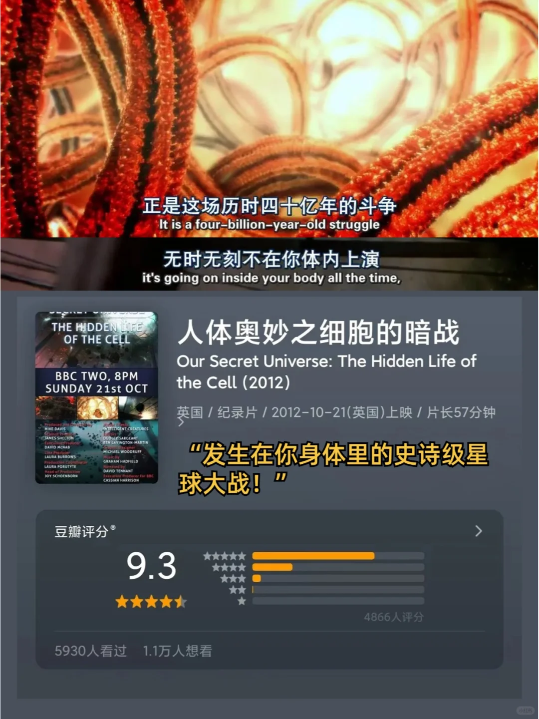 看完这6部纪录片🎬我发现自己强得可怕