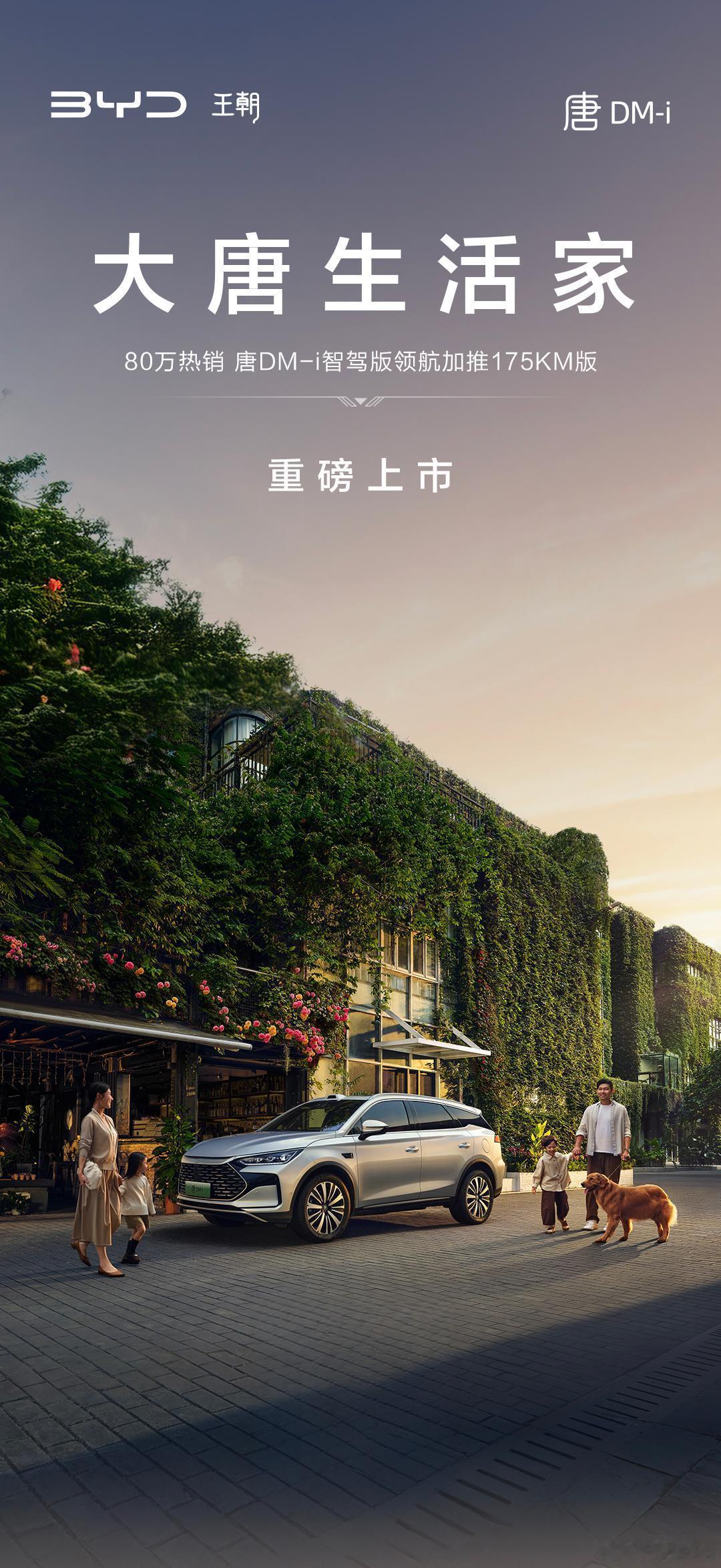 唐dm-i智驾版领航加推175km版 17.98万起，175km纯电+4.7L亏