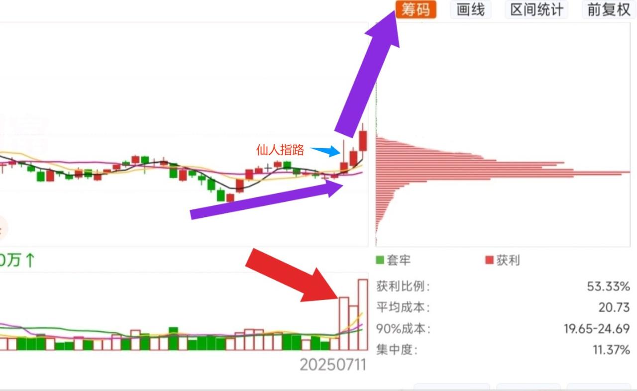下一个“海能达”

 人形机器人+PEEK+中报预增1763%

7月正式启动，