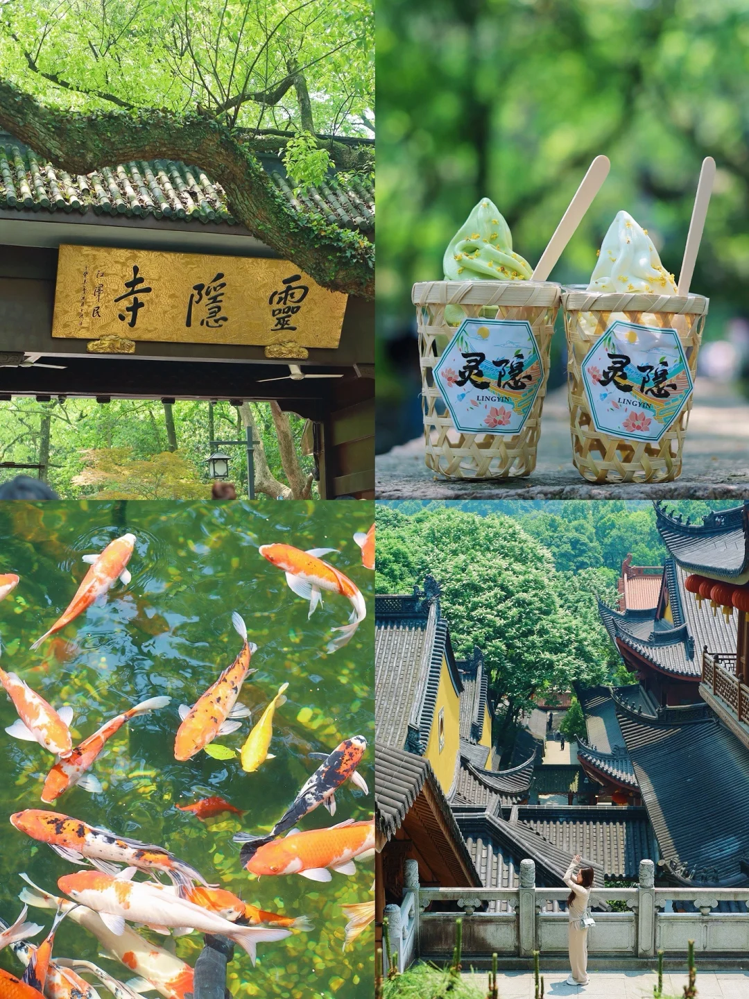 终于搞清楚法喜寺和灵隐寺的懒人版避堵攻略