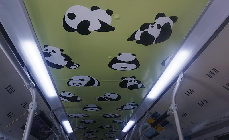跟着熊猫专列一路南下看风景，这简直是一场超棒的旅行体验！熊猫专列本身就充满特色，