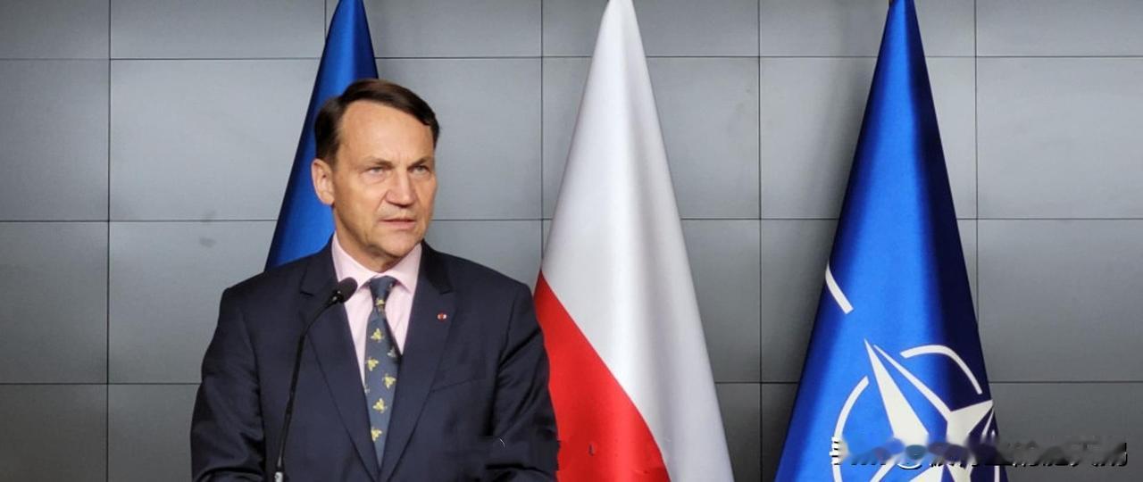 大波波威胁要逮捕普京[憨笑]

波兰外长西科尔斯基就普京的专机可能飞越波兰领空一