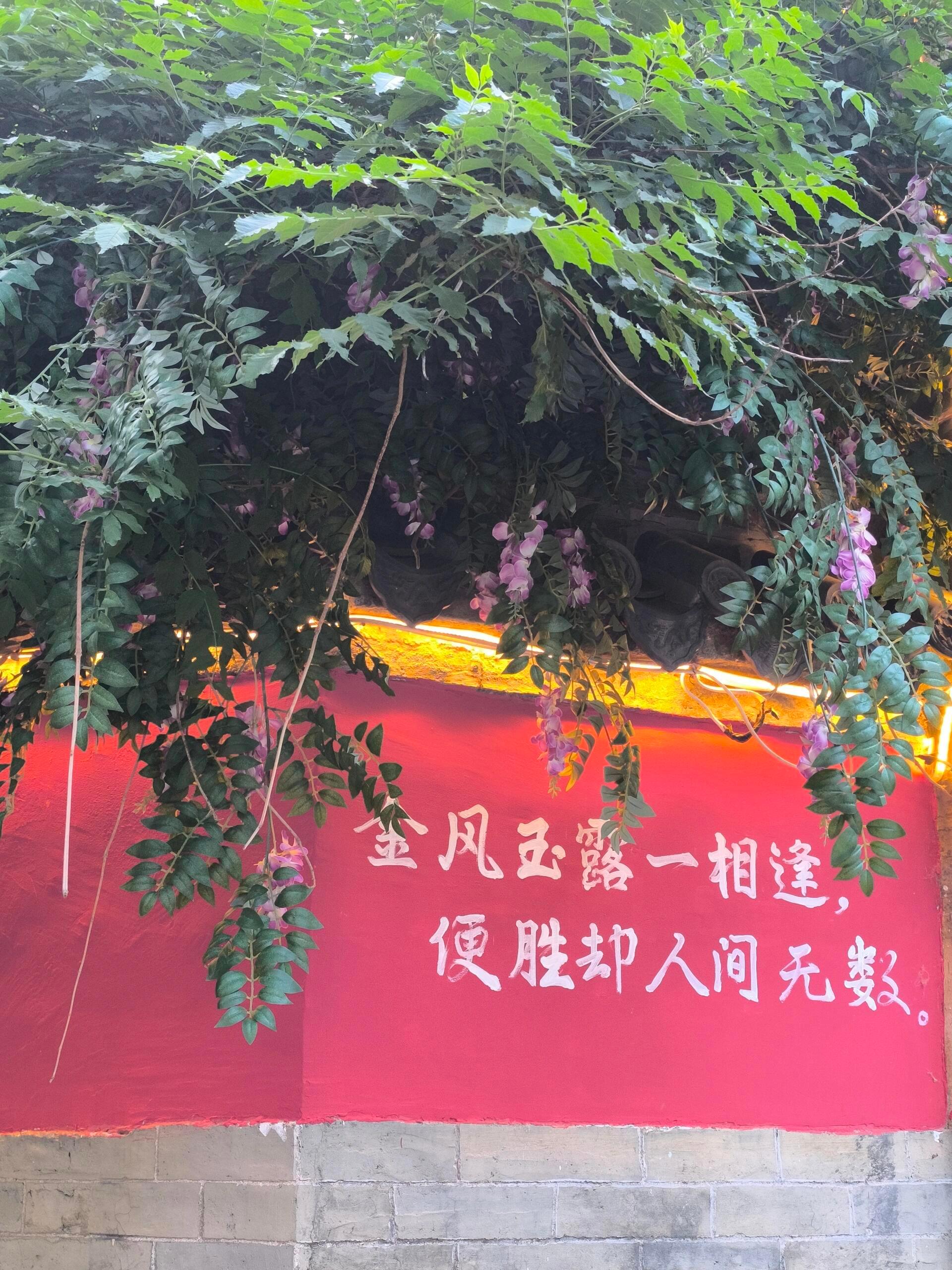 那些看了就精神愉悦的话 