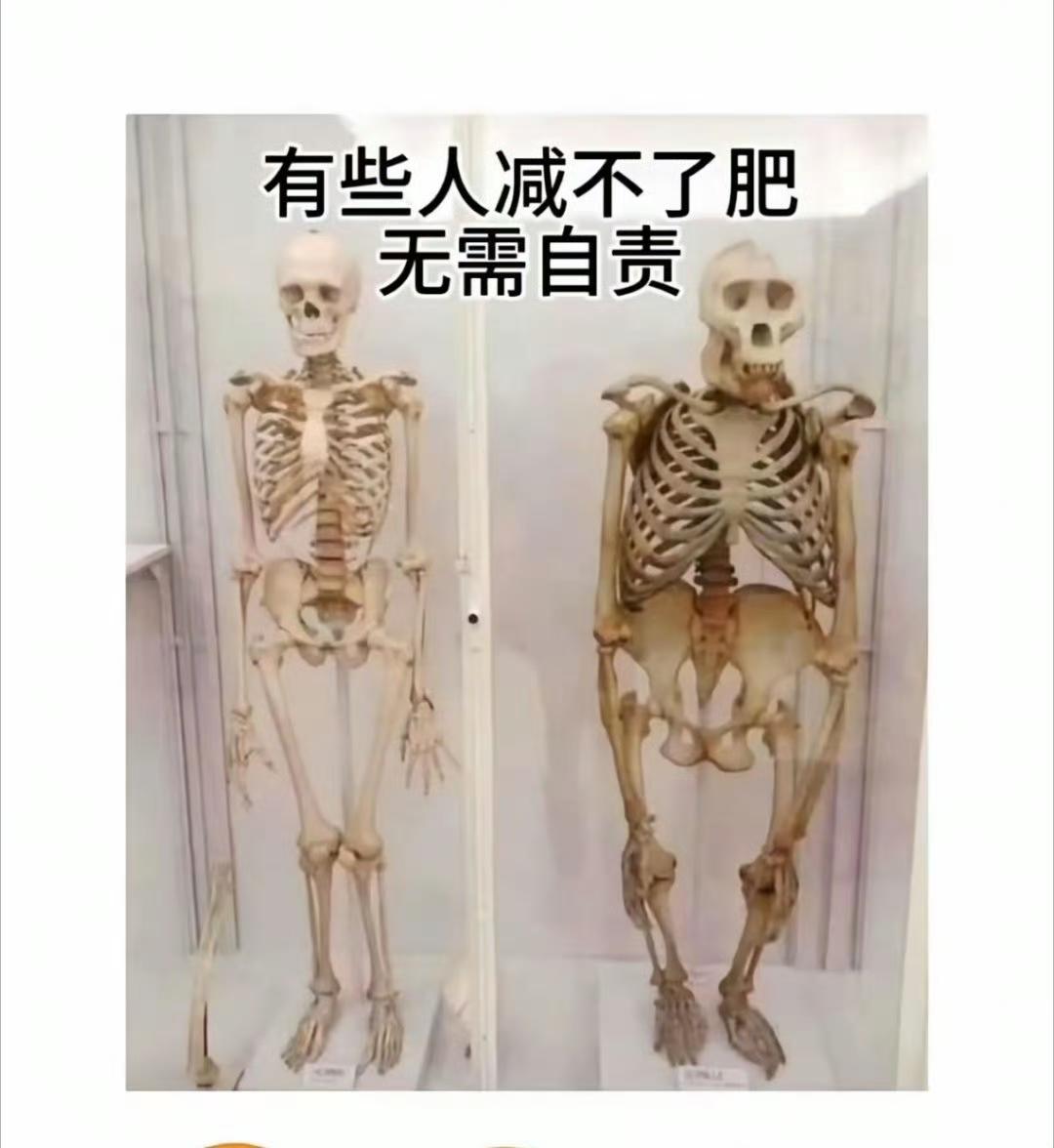 有些人减不了肥无需自责，你减不下肥是有原因的 ​​。