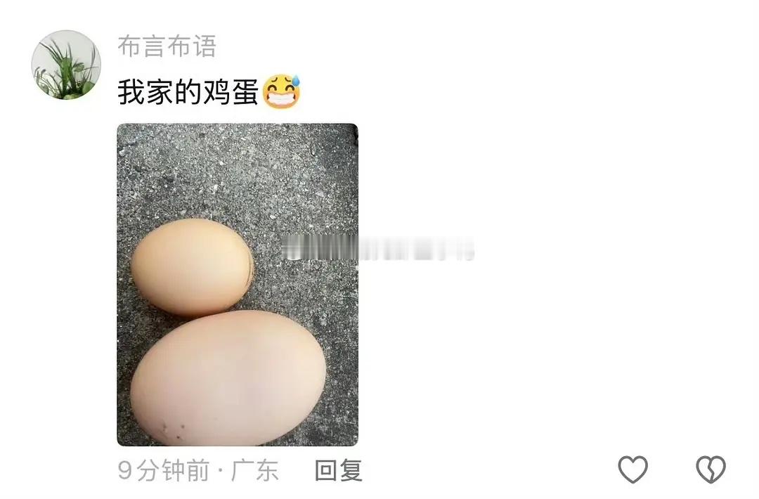“老一辈种菜没轻没重的”😂😂 