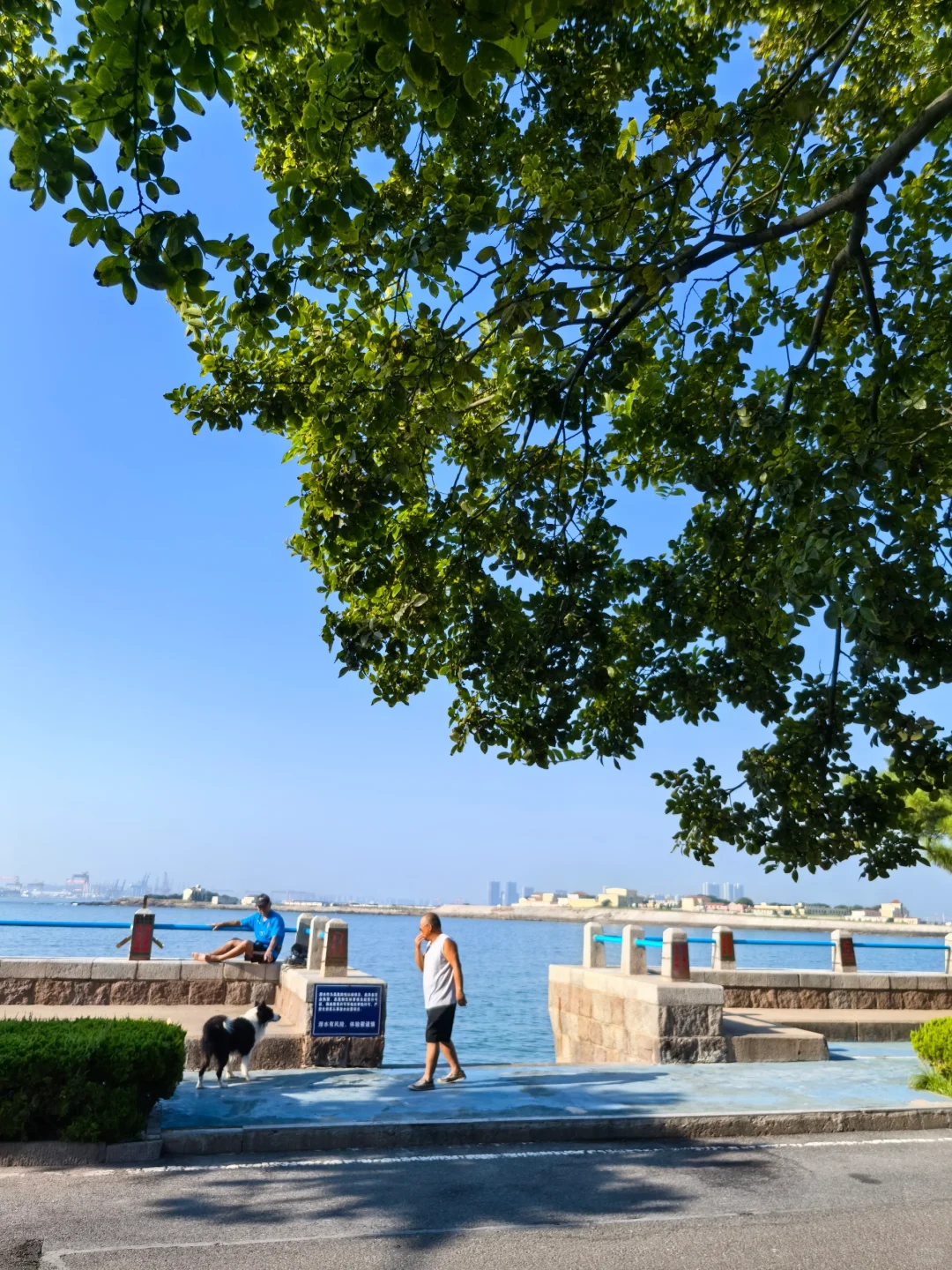 8.30青岛街头实况 往后3个月是旅游黄金季