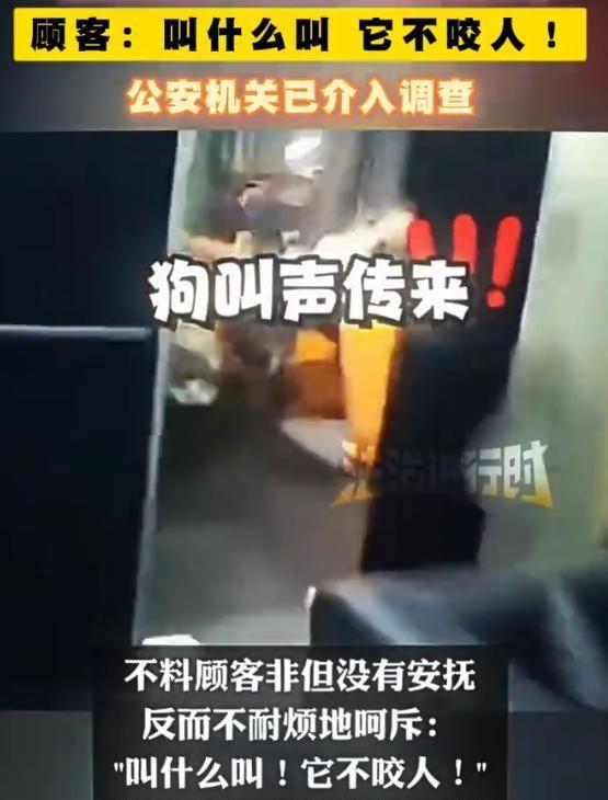 云南昆明某租车行二楼，三条未拴绳、肩高近一米的大丹犬突然狂扑向送外卖的小哥！小哥