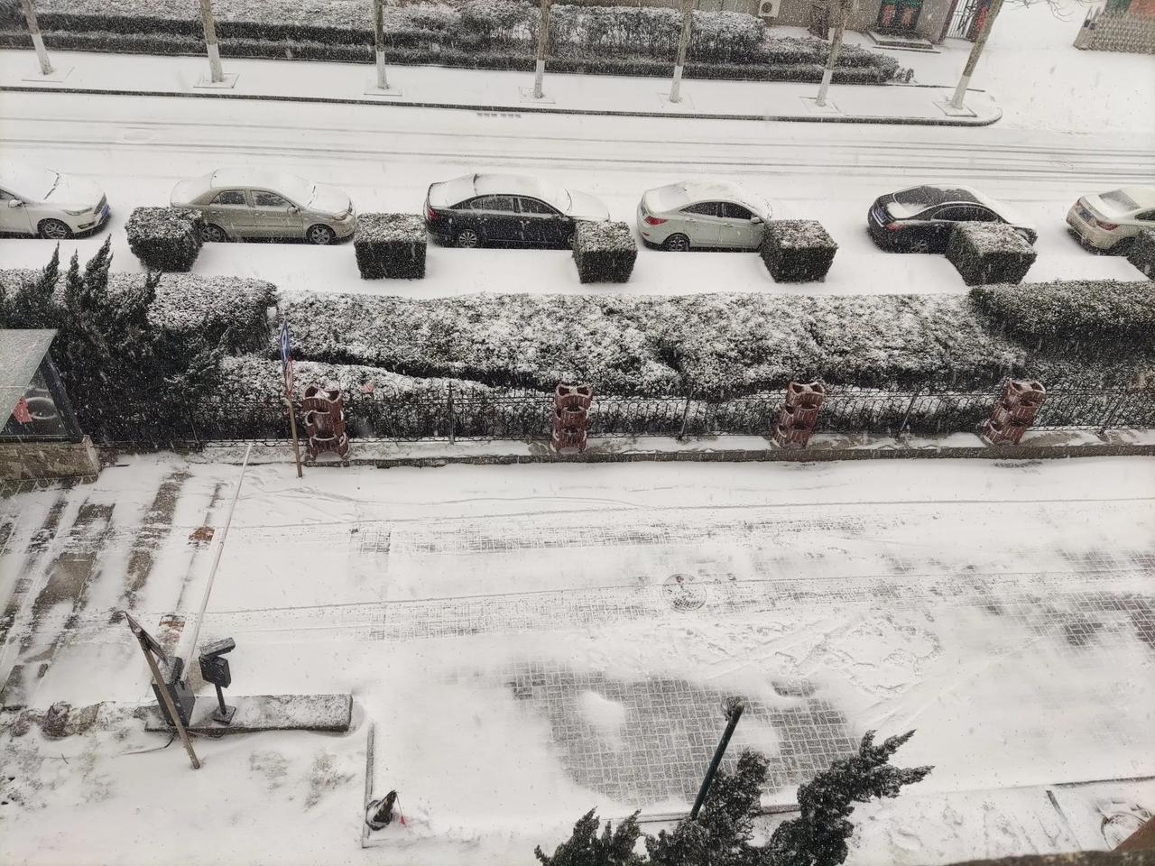 烟台这雪呀说下就下，出了趟门差点回不来了[捂脸]。
早上带孩子去福莱山公园玩，刚