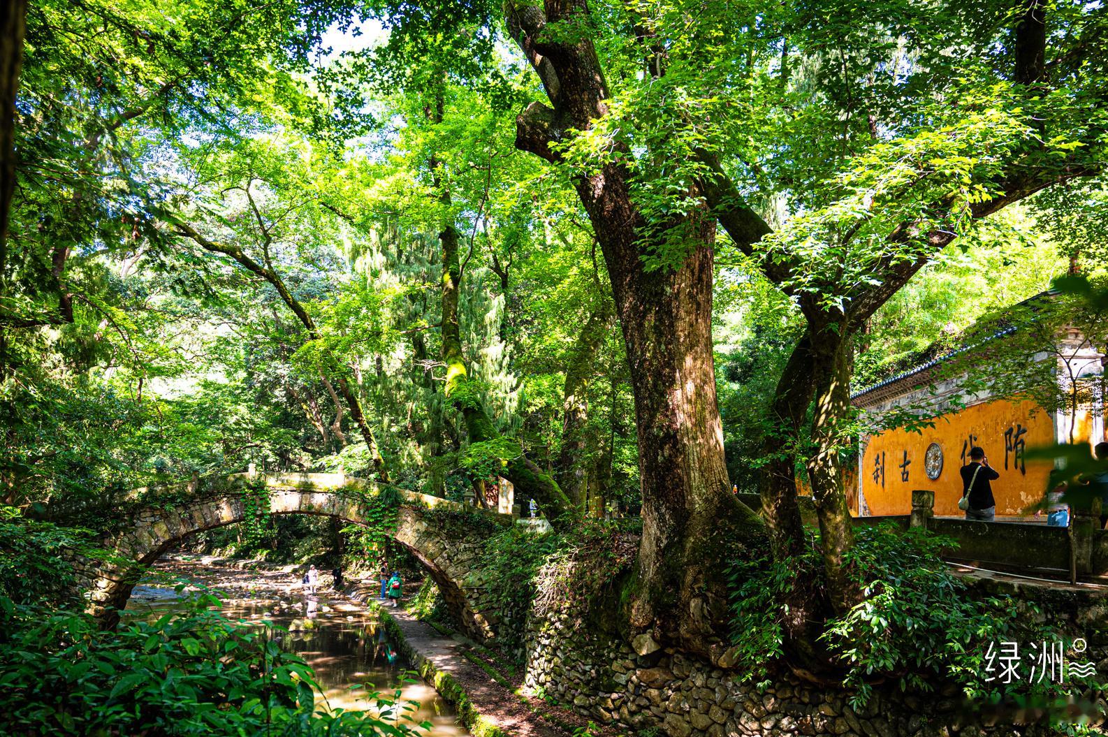 隋代古刹 浙江｜天台#用照片来讲故事#    ​​​
