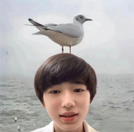 小禹儿有没这种头像呀 