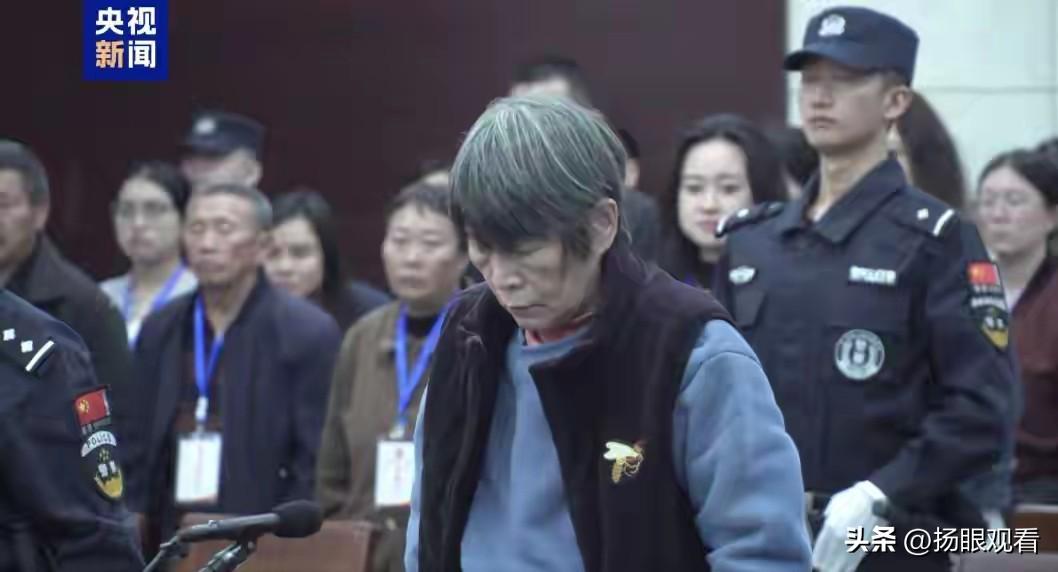 梅姨落网！盲比天网跨时空执法太震撼🔥
 
追了二十多年的梅姨终于落网，最让人震