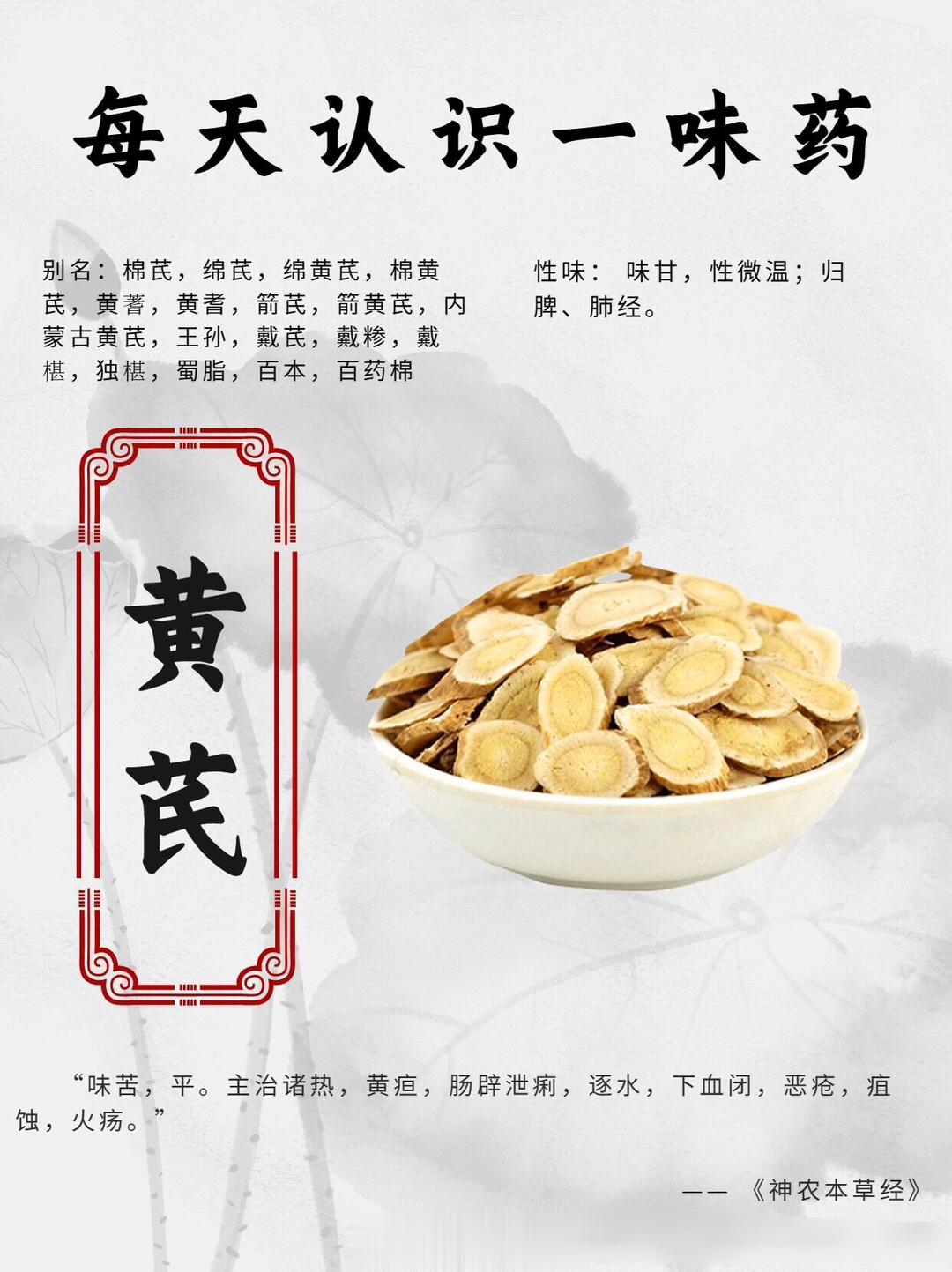 #每天一味中草药# “补气诸药之最”是什么？对了，是黄芪。黄芪的别名有很多：棉芪