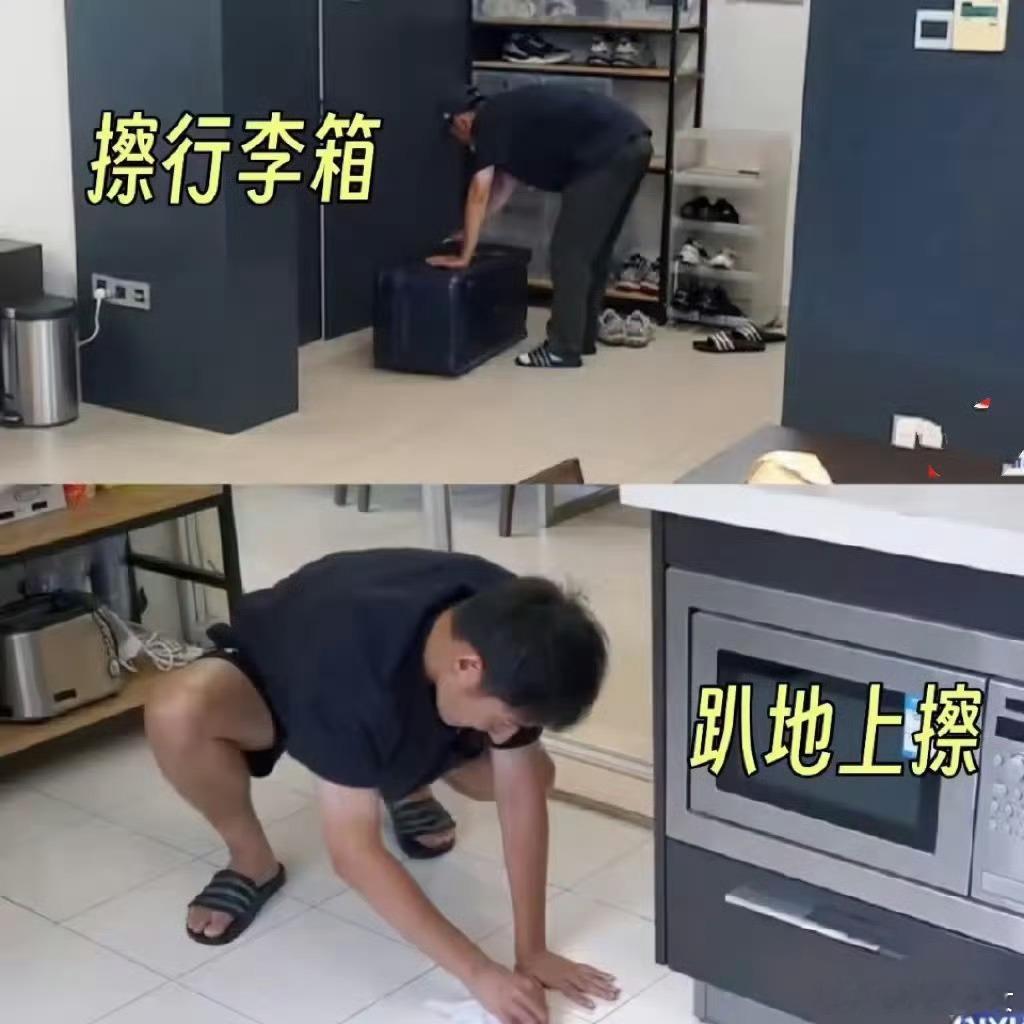 如果把维嘉扔进管乐家里维嘉和管乐梦幻联动竟然是因为…管乐的屋子太乱了[二哈] ​